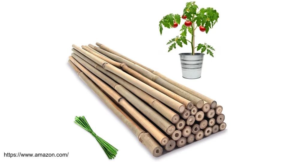 Eco-Friendly Bamboo Stakes For Gardening: Smart Solutions For Healthy ... in The Hidden Benefits of Using Bamboo Plant Stakes in Eco-Friendly Agriculture