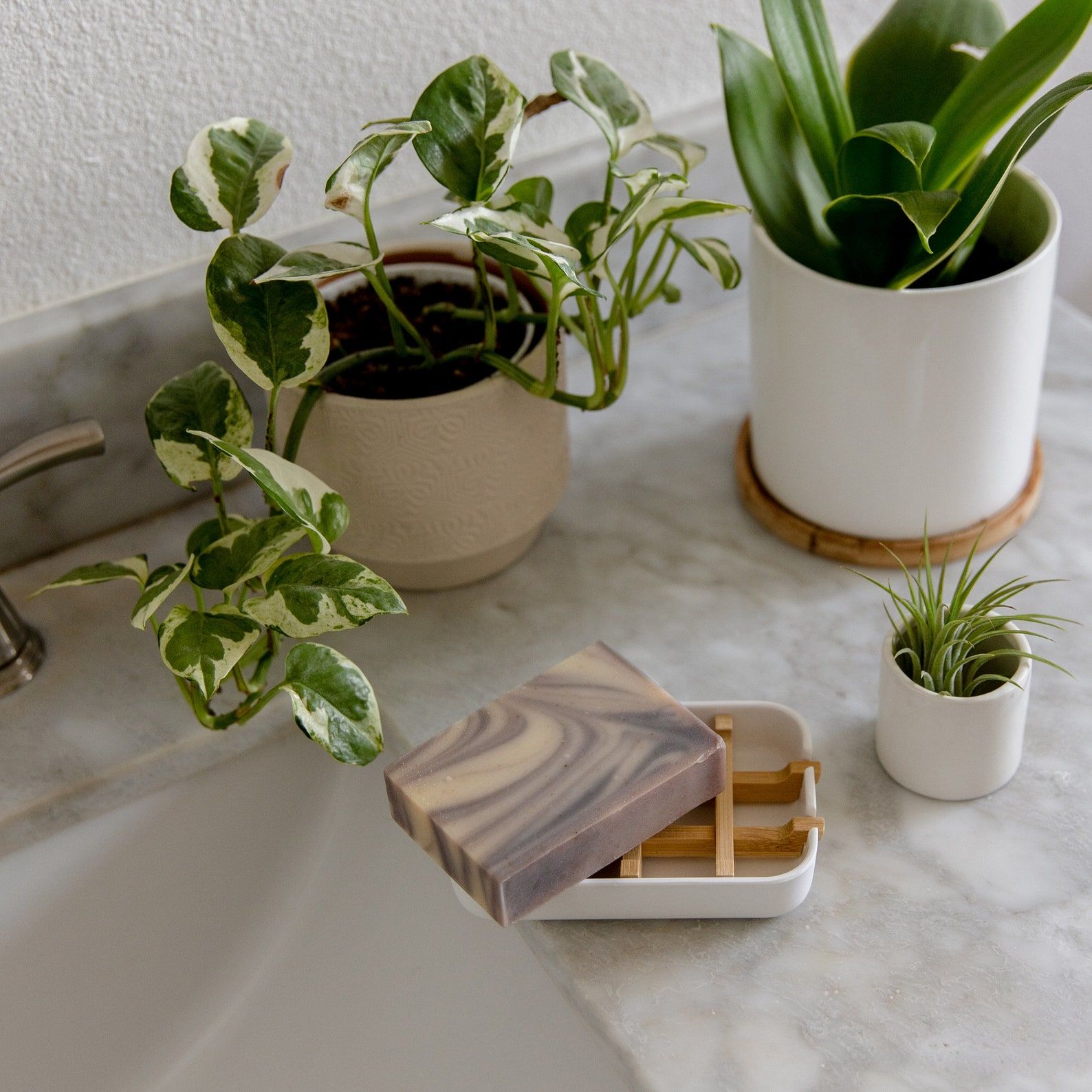 Eco-Friendly Soap Dish Tray Plant-Based: Bamboo Fiber - Etsy regarding How Bamboo Trays Are Revolutionizing Eco-Friendly Planting Practices