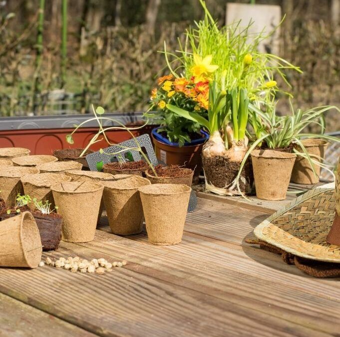 Embracing Eco-Friendly Gardening: The Benefits Of Biodegradable Plant Pots throughout Reducing waste with small compostable plant pots for your garden