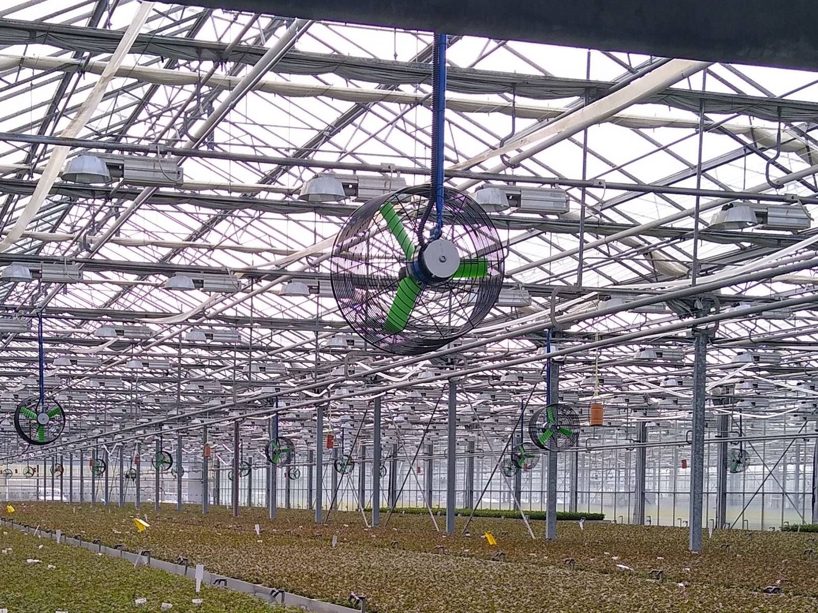 Fog And Misting Systems For Humidity, Dust &amp; Odor Control throughout Greenhouse Mist Cooling Solutions That Work with Nature Not Against It