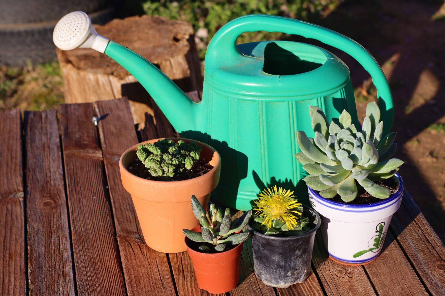 Garden Strategies To Cope With Drought – Part 2 | Garden Culture Magazine intended for Drought Resistant Sustainable Pots