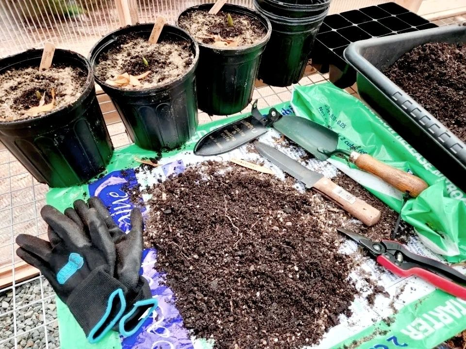 Gardening Toolkit within How to build a sustainable garden toolkit without the plastic