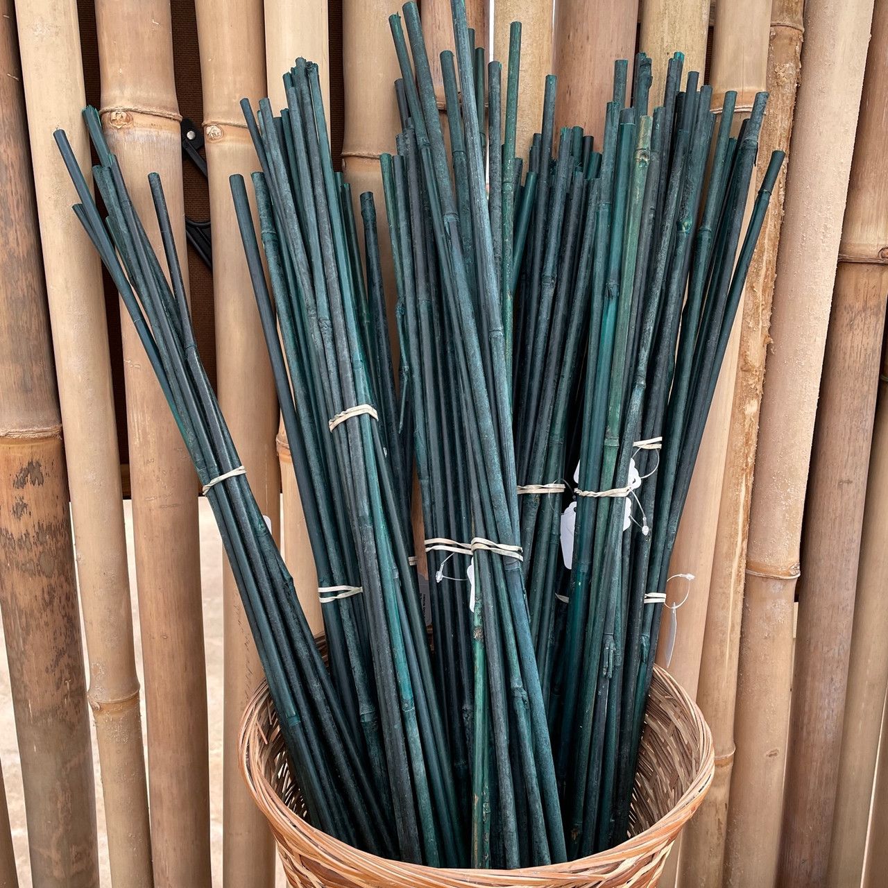 Building Sustainable Gardens with Bamboo Plant Stakes Eco Solutions