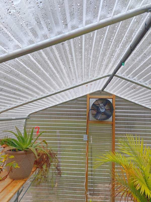 Greenhouse Water Misting Systems At Paige Brown Blog for Greenhouse Misting Kit Eco