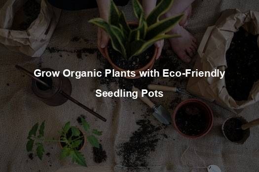 Grow Organic Plants With Eco-Friendly Seedling Pots - Organic Seed Finder regarding Bamboo Seedling Pots Eco Friendly