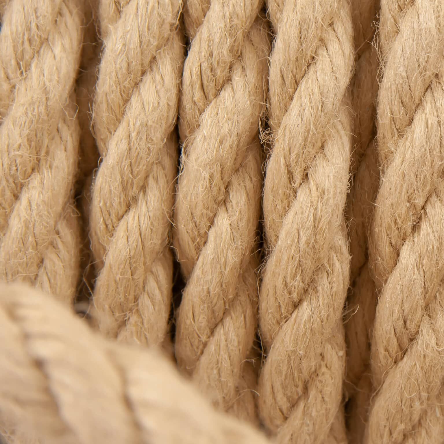 Hemp Ropes - Polyropes with regard to Long lasting hemp rope solutions for vertical gardening