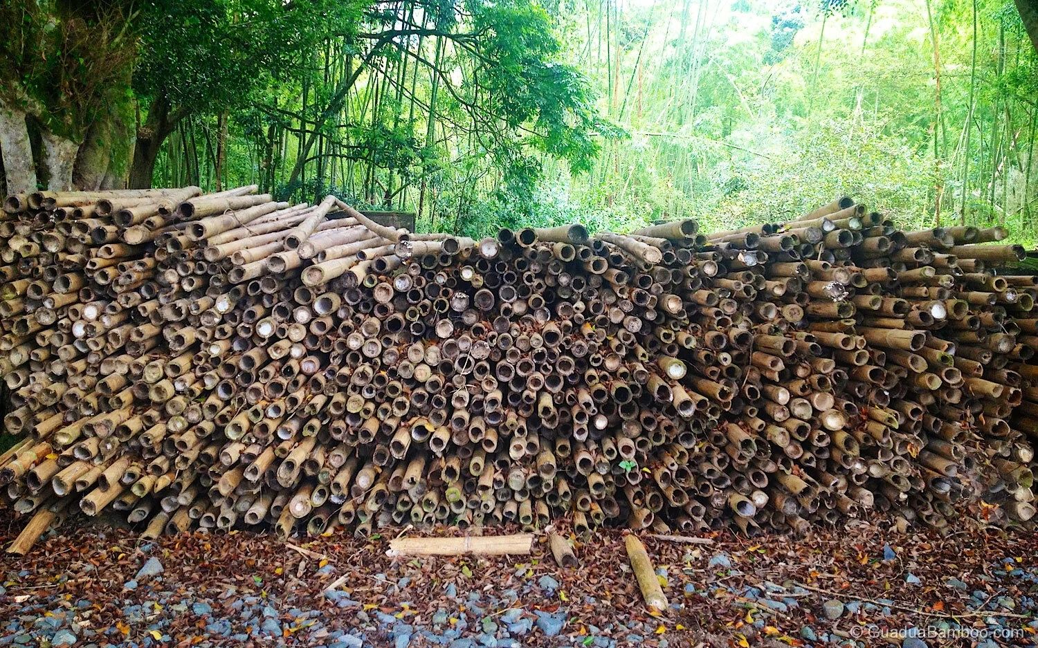 How Durable Is Bamboo? for Understanding the Durability of Bamboo in Garden Tool Construction