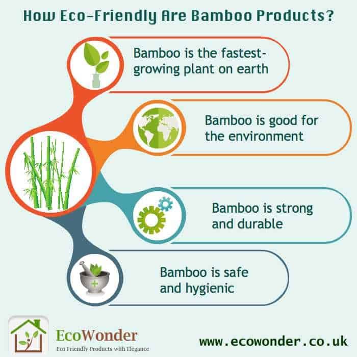 How Eco Friendly Are Bamboo Products? | Ecowonder intended for Bamboo Seedling Tray Sustainable