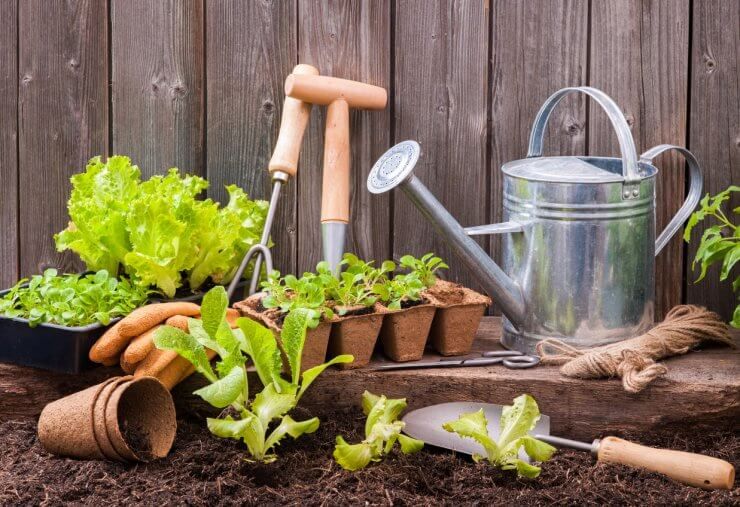How to build a sustainable garden toolkit without the plastic