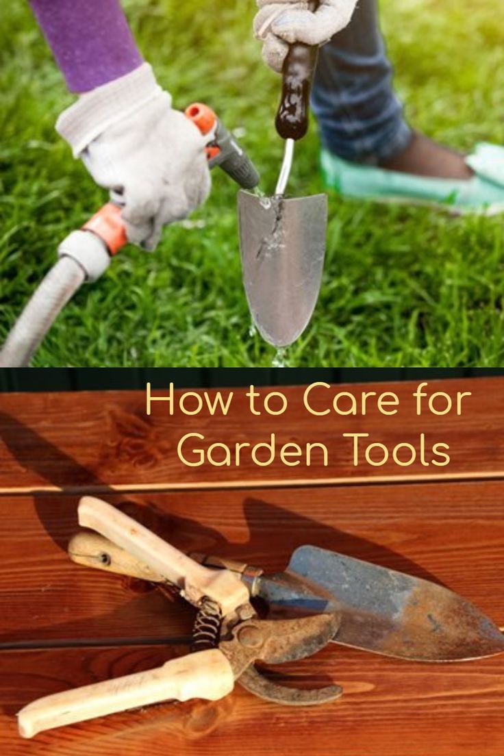How To Care For Garden Tools | Garden Tool Maintenance, Garden Tools ... with regard to Zero Waste Garden Tool Cleaner