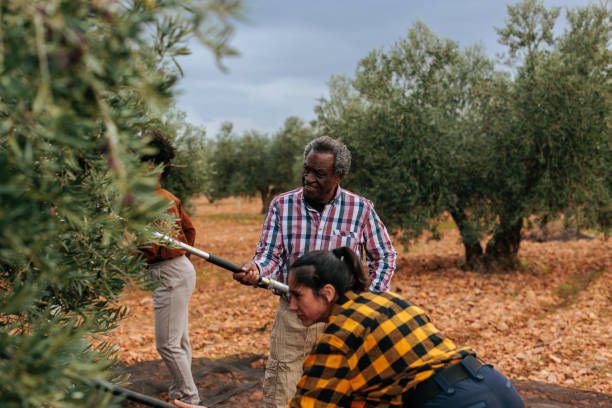 How To Choose Environmentally Friendly Garden Tools-Plantify - Plantify regarding Sustainable Gardening Tool Kit