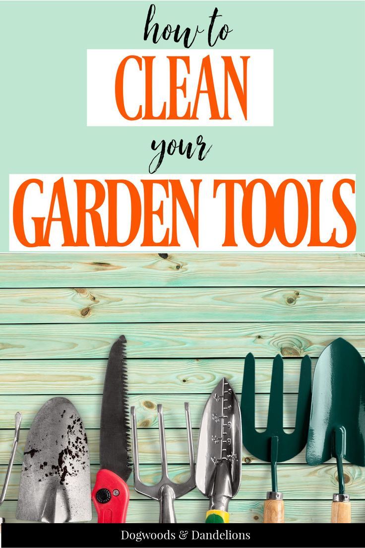 How To Clean Your Garden Tools | Clean Garden Tools, Garden Tools ... with Natural ingredients for effective garden tool cleaning routines