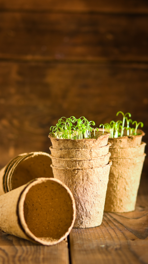 How To Do Eco-Friendly Gardening: The Benefits Of Biodegradable Pots ... for Eco-conscious gardeners discover the benefits of biodegradable pots