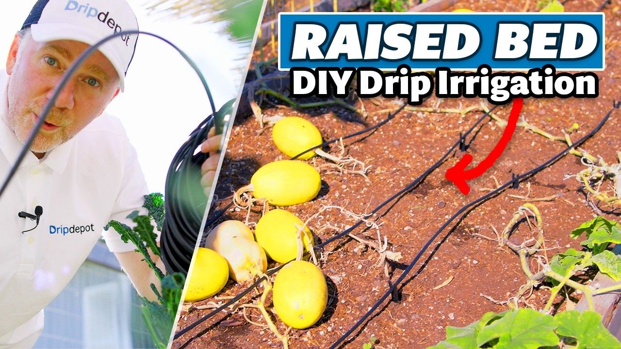 How To Install Drip Irrigation For Raised Beds (Complete Diy Beginner's ... with DIY sustainable drip irrigation kit setup for beginner gardeners