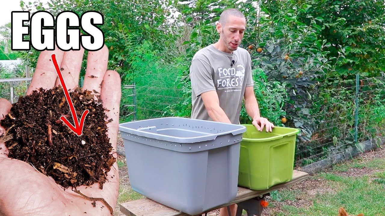 How To Make A Worm Composting Bin, Quick, Simple And Inexpensive ... throughout Worm Bin Watering Tool Eco