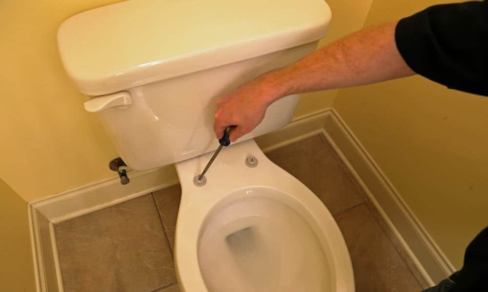 Step-by-Step Tutorial for Changing Your Toilet Seat in 5 Minutes