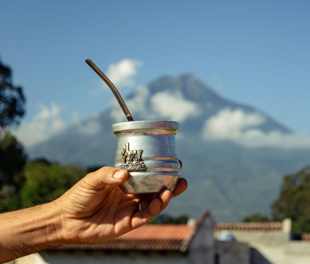 How To Select A Yerba Mate Gourd with How to maintain your mate gourd without harming the environment