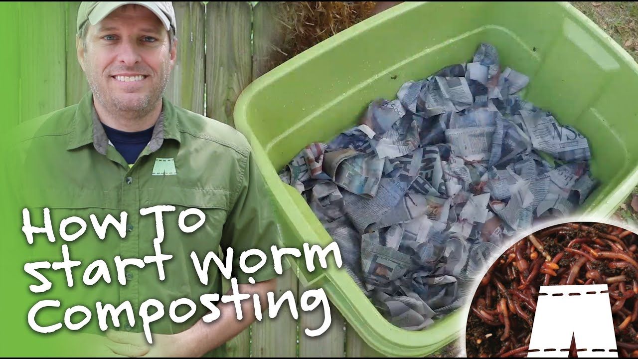 How To Set Up A Worm Composting Bin - Youtube within Making composting easier with the worm bin watering tool eco approach