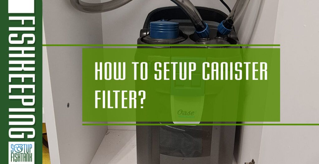 How To Setup Canister Filter? Step By Step Guide - Setup Fish Tank inside Install Filter Cartridge Without Plumber