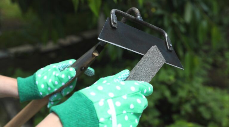 Mastering the Art of Tool Sharpening for Sustainable Garden Care