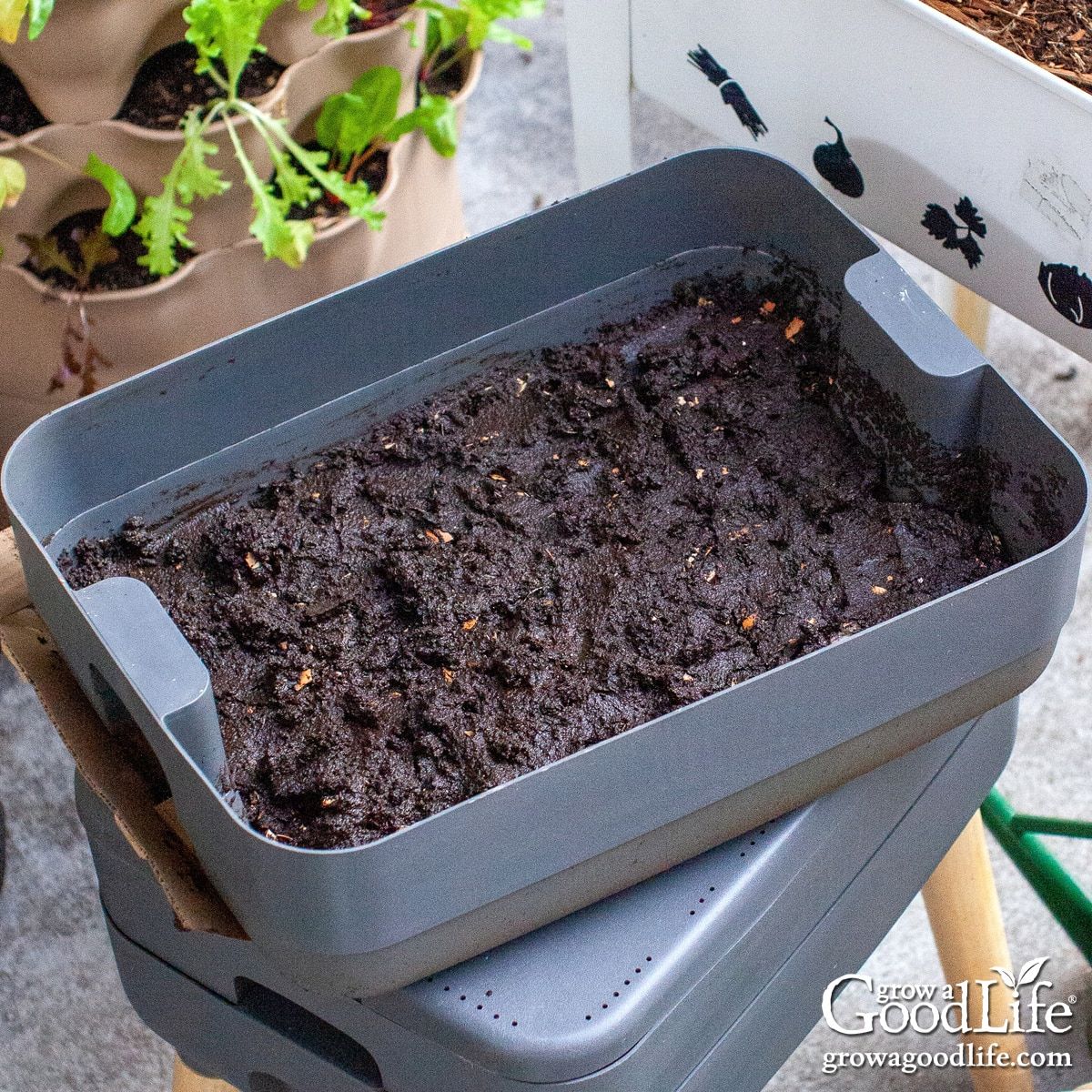 Making composting easier with the worm bin watering tool eco approach