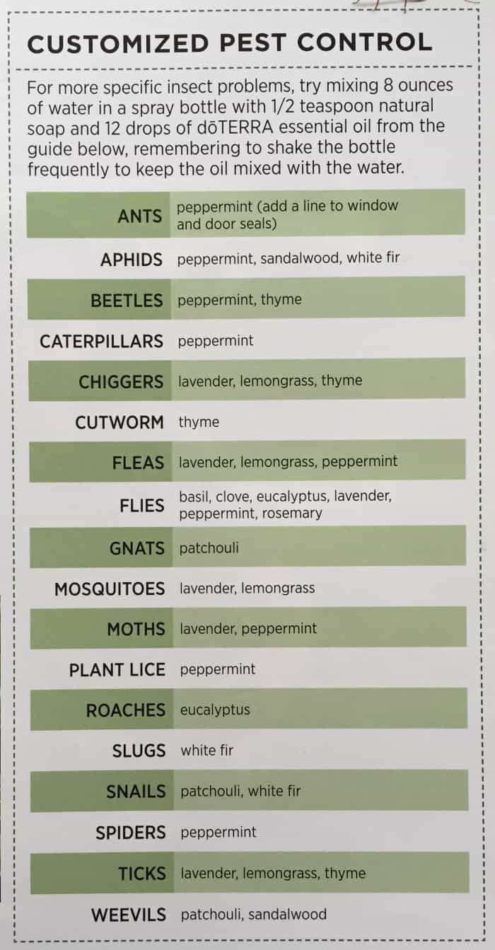 In The Garden Non Toxic Pest Control With Essential Oils – Artofit intended for How to Choose the Best Non-Toxic Oil for Your Garden Tools