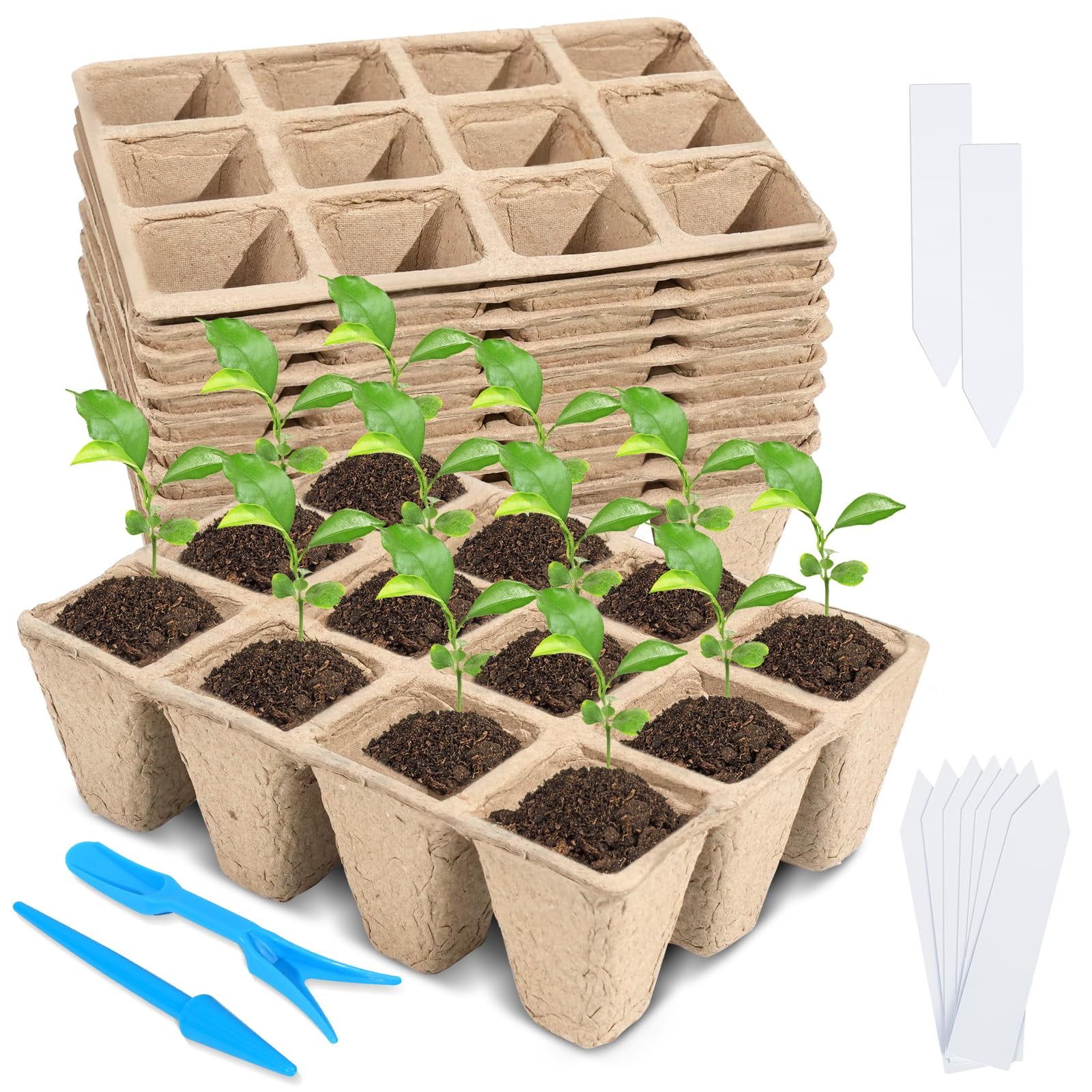 Loongesho 10 Packs Seedling Starter Trays, Mvr1 120 Cells Biodegradable ... in Choosing the right compostable seedling trays for your nursery needs