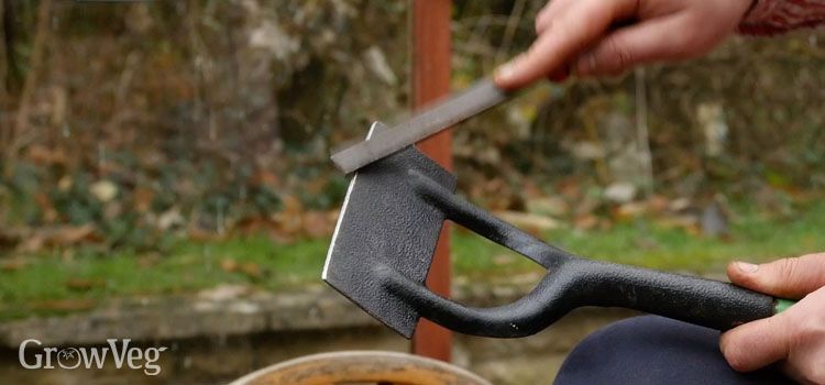 Make Gardening Easier With Our Essential Tool Care Tutorial for Tool Sharpening For Eco Gardens