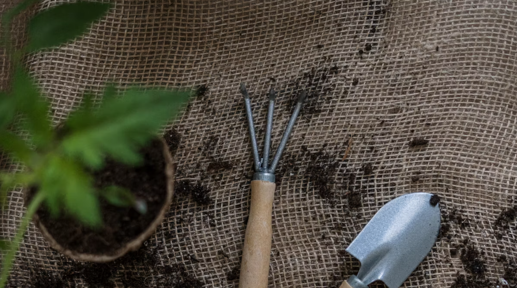 Mastering Hand Rake Garden Tools: Types, Materials, And Maintenance ... inside Sustainable Garden Hand Rake