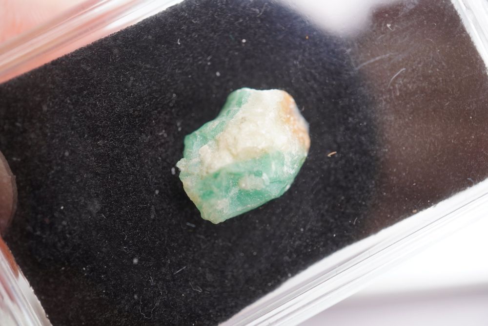 Natural leaf mulch methods every eco gardener should know