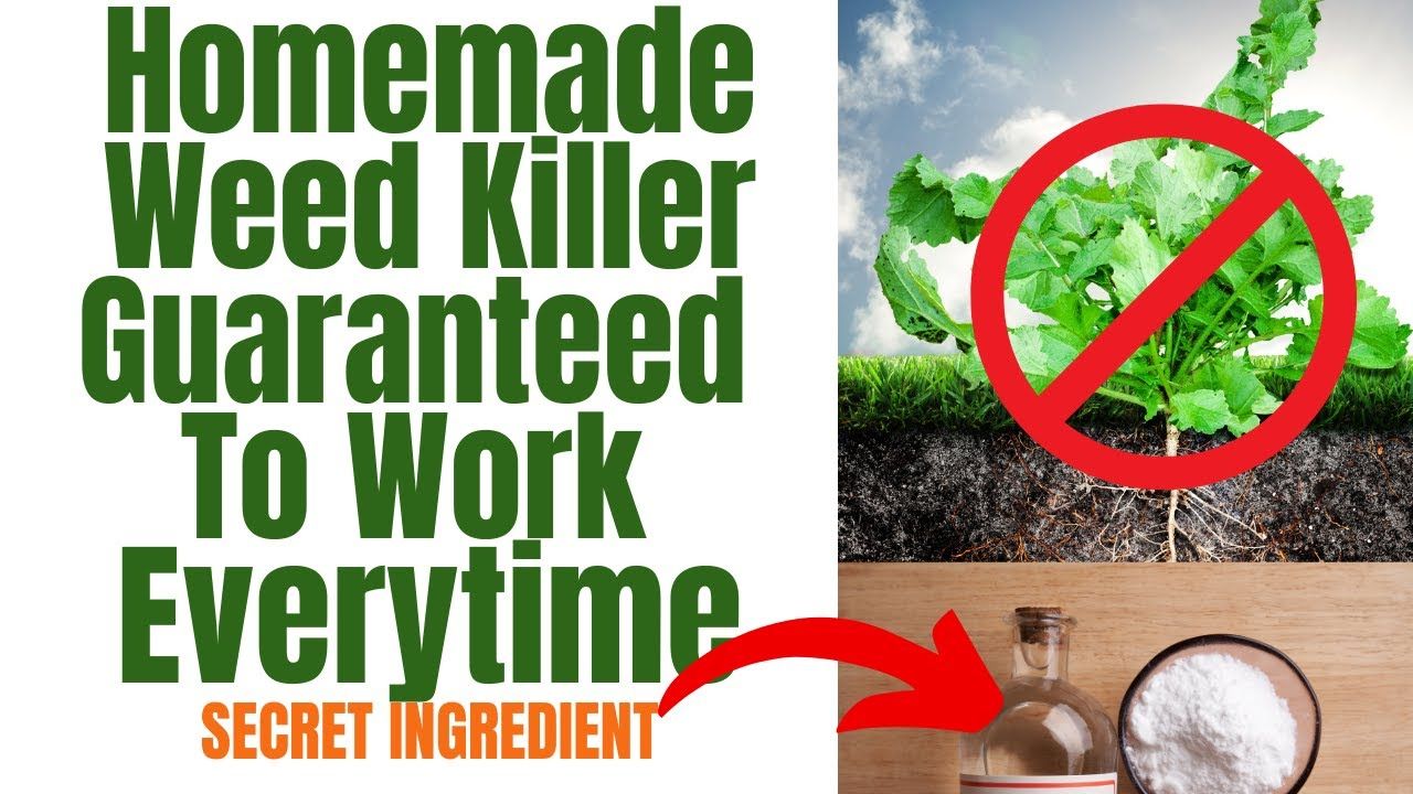 Natural Weed Killer That Works Better Than Round Up || Diy That Saves ... throughout Eco-Friendly Hand Weeder 2025