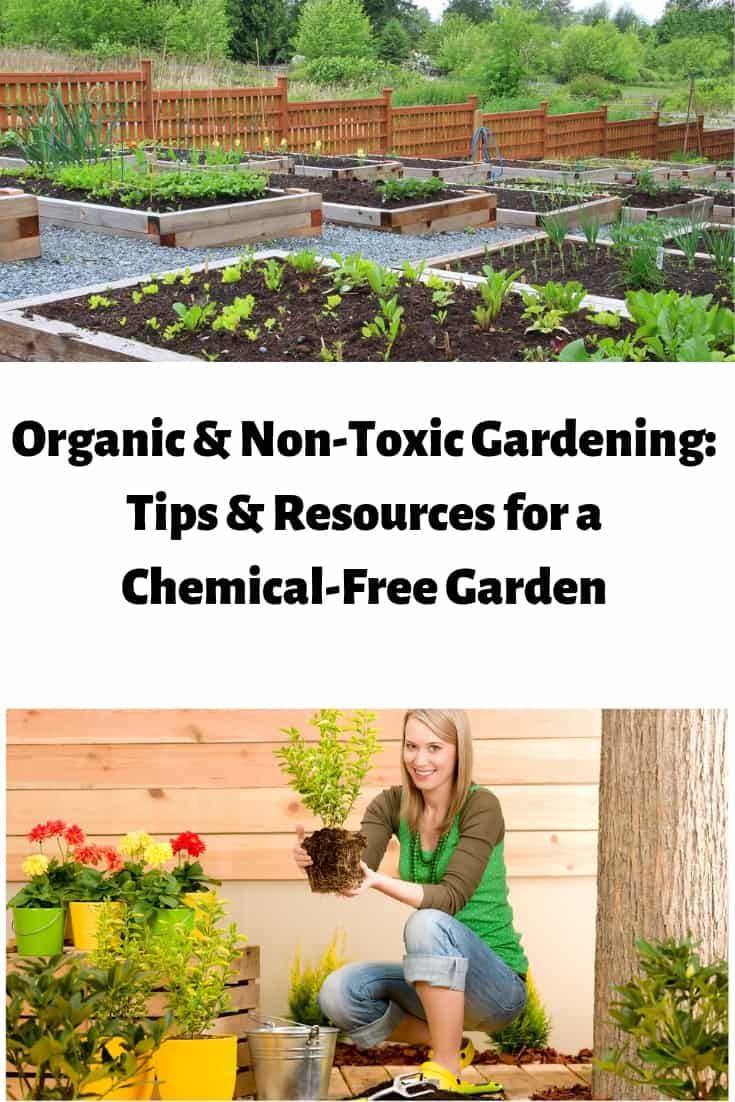 From Seed to Harvest: Why Non-Toxic Garden Tools Matter for Healthy Plants
