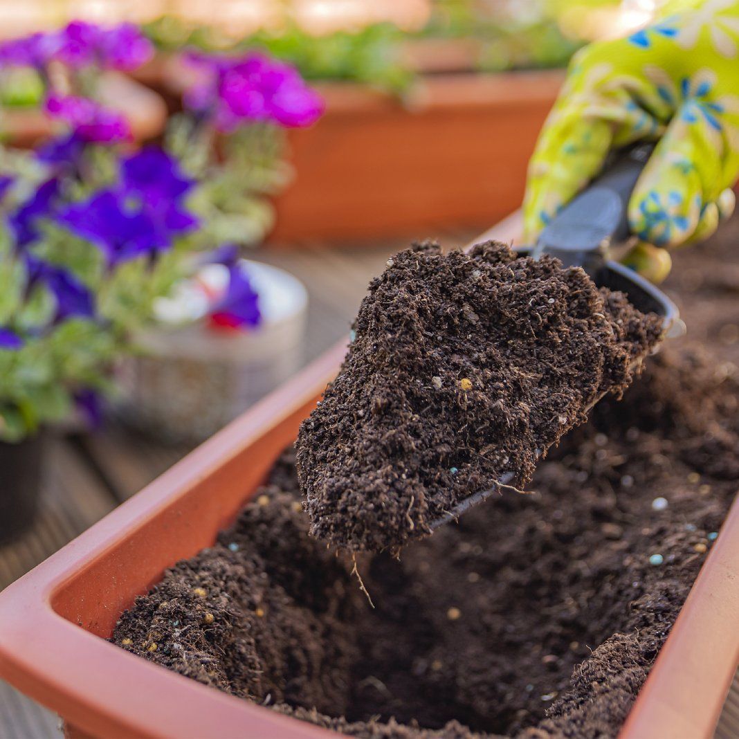 Peat-Free Compost: Why Many Gardeners Are Making The Switch | Gardening ... within Why Gardeners Are Making the Switch to Recycled Plastic Dibbers