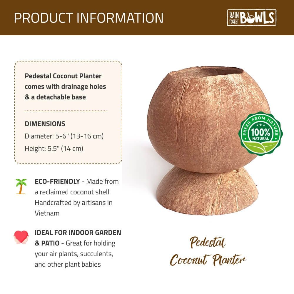 Pedestal Coconut Planter Pot &amp; Base Handcrafted From A Reclaimed ... inside Coconut Coir Pots Zero Waste