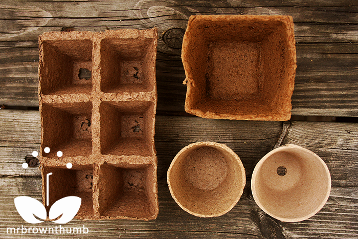 The environmental impact of traditional versus biodegradable seed starting containers