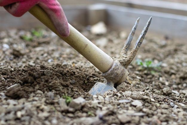 Expert Tips for Using Sustainable Garden Hand Rake to Improve Soil Structure and Plant Growth