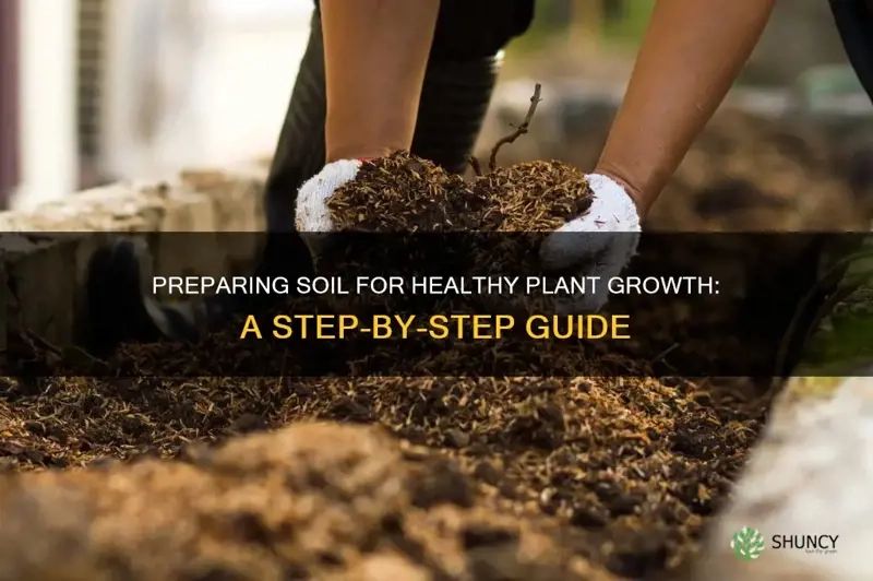 Preparing Soil For Healthy Plant Growth: A Step-By-Step Guide | Shuncy throughout Essential techniques for healthy plant growth using sustainable tools