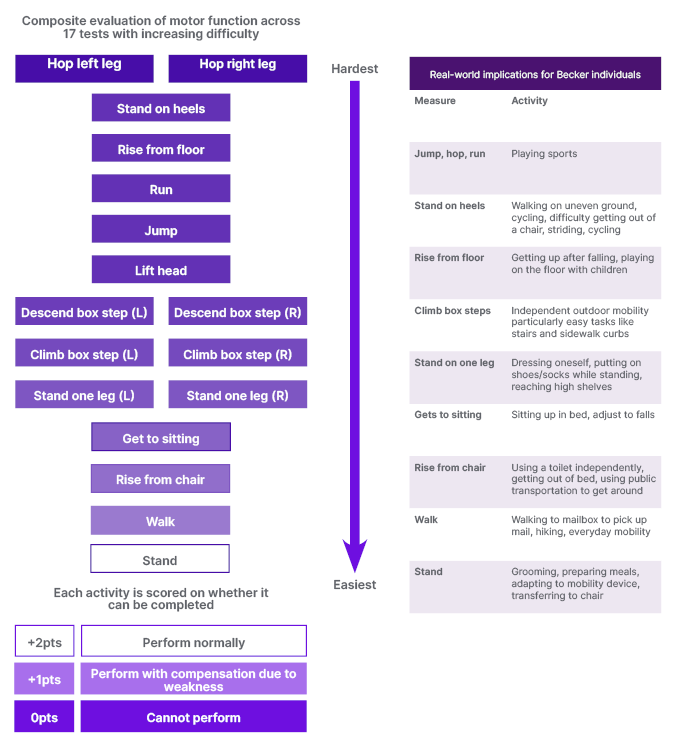 Protecting And Preserving Dystrophic Muscle: The Balance Between ... pertaining to Reducing strain while preserving nature's balance