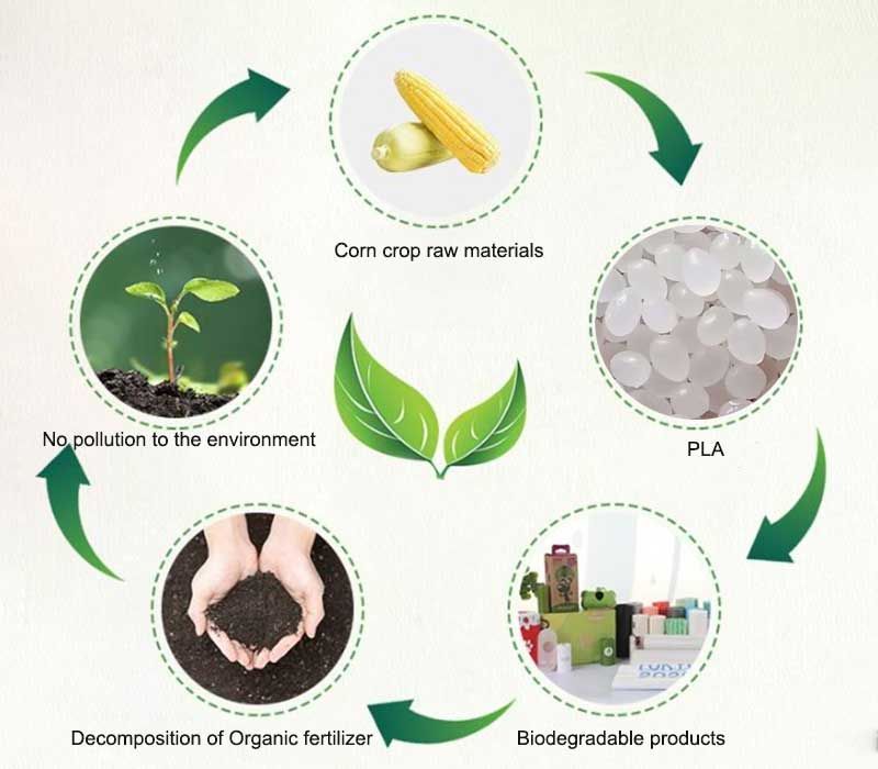 Stretchy Biodegradable Materials At David Frakes Blog in Biodegradable Tool Storage Bag