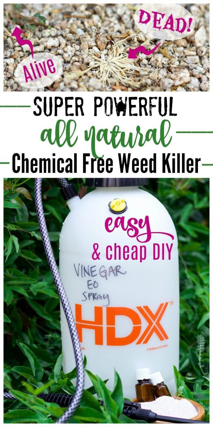 Super Powerful Chemical Free Natural Weed Killer – Artofit inside Eco-Friendly Weed Barrier Green