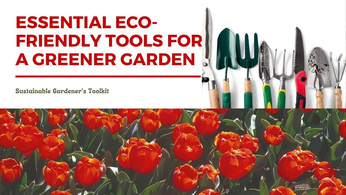 Essential eco-friendly tools every beginner gardener should know