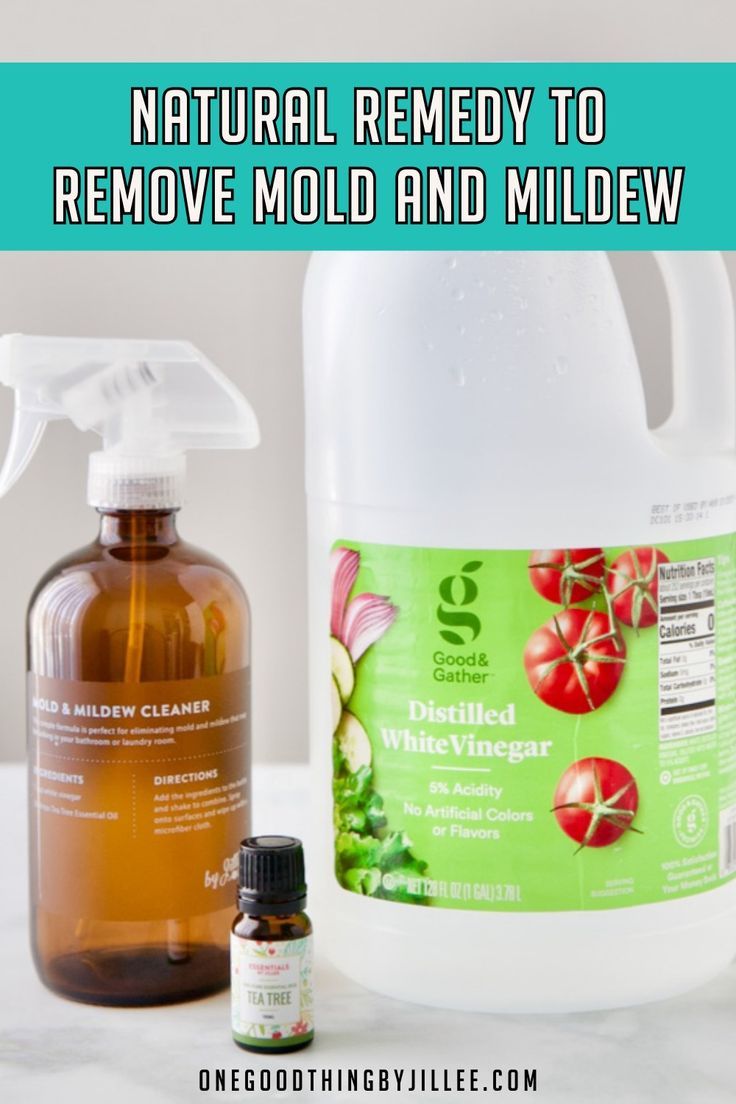This Easy Natural Cleaner Gets Rid Of Mold And Mildew | Natural ... within Use Essential Oils For Mold Prevention