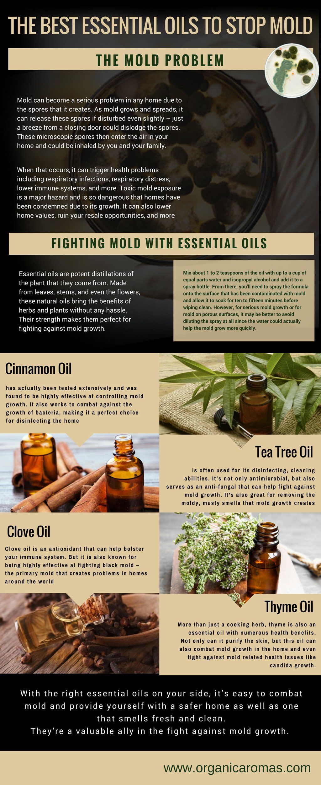 Natural mold defense essential oils that actually work
