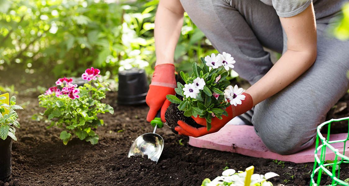 Tips For Keeping Hands Safe This Gardening Season | Penn Therapy &amp; Fitness for Best Eco Gardening Gloves Women