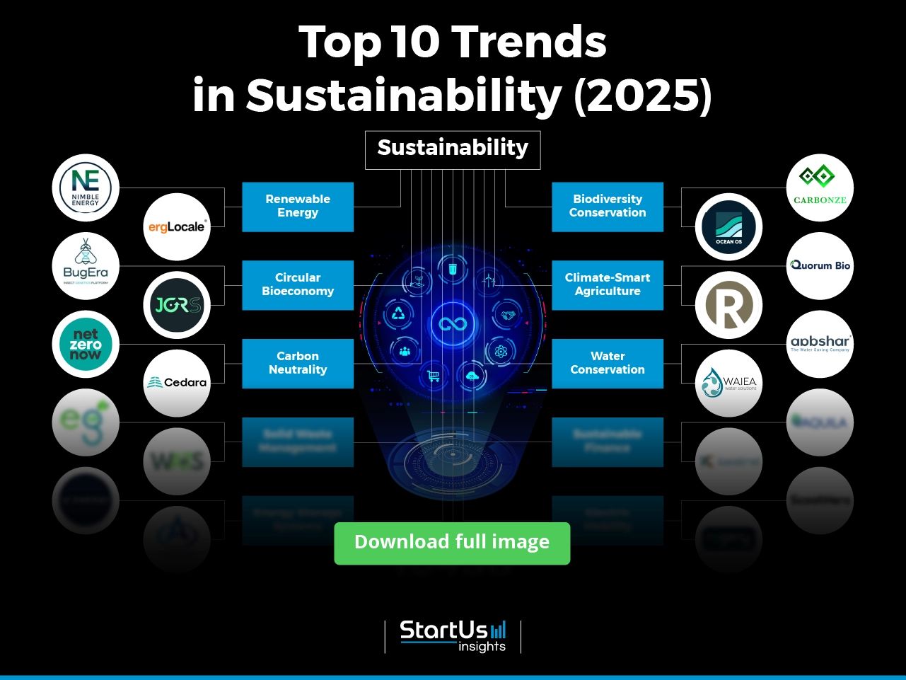 Examining the top sustainable brands 2025 and their innovative practices