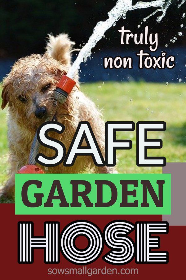 Truly Non-Toxic Garden Hose For Your Soil And Health • Sow Small Garden throughout Non Toxic Garden Hose Reel Green