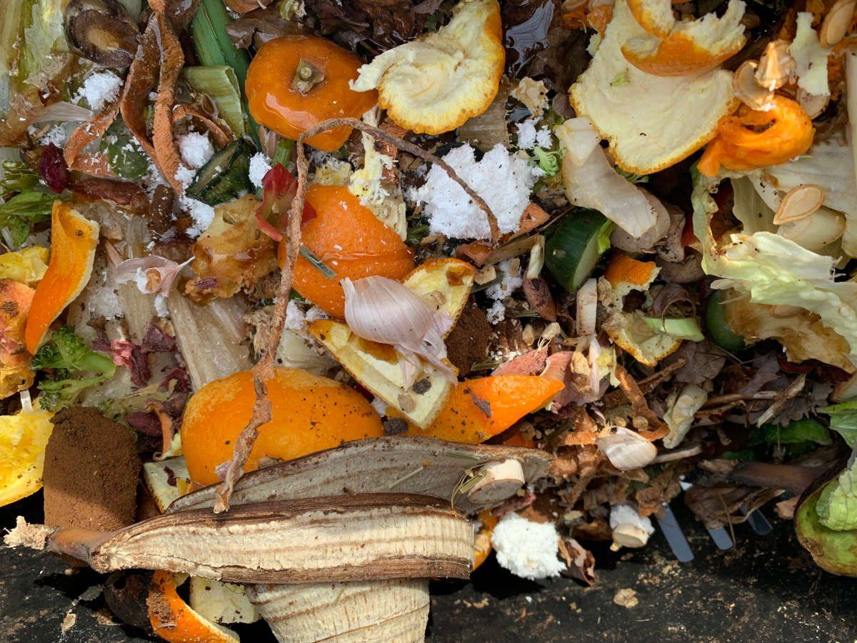 Turning Kitchen Scraps Into Garden Gold - Why We Should Compost ... with Compost Tumbler Sustainable
