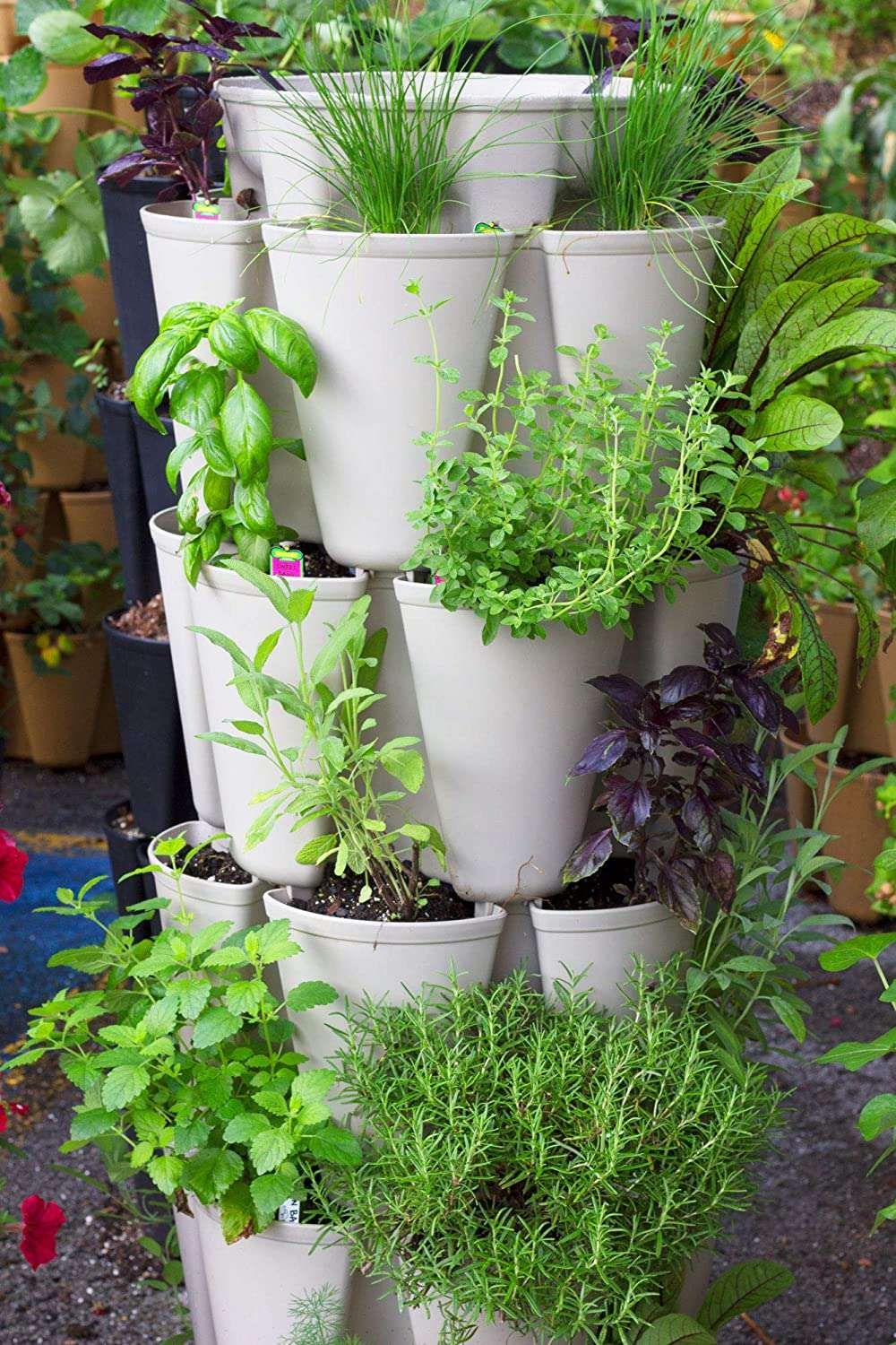 Vertical Gardening Kit At Jared Harper Blog throughout How to Build Your Own Sustainable Vertical Garden Kit from Scratch