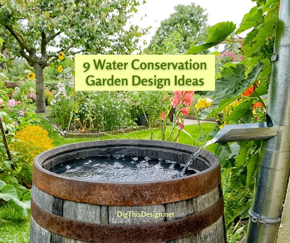 Water conservation tips for eco-conscious gardeners