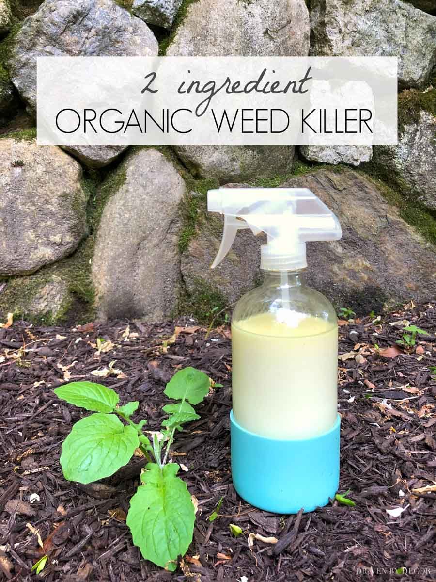 Weed Killer Homemade Recipe At Linsey Moodie Blog with regard to Eco-Friendly Weed Barrier Green